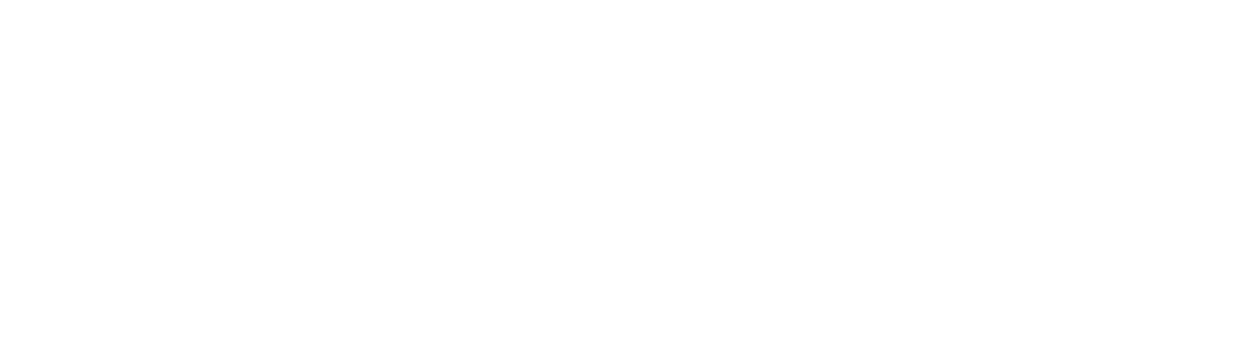 Blini Bauunternehmung GmbH